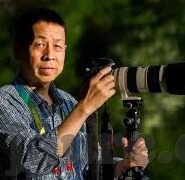 91视频麻豆在线观看-91视频与麻豆的在线世界——数字映像的隐秘角落